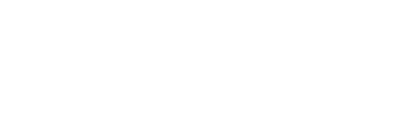 Apollo Partner